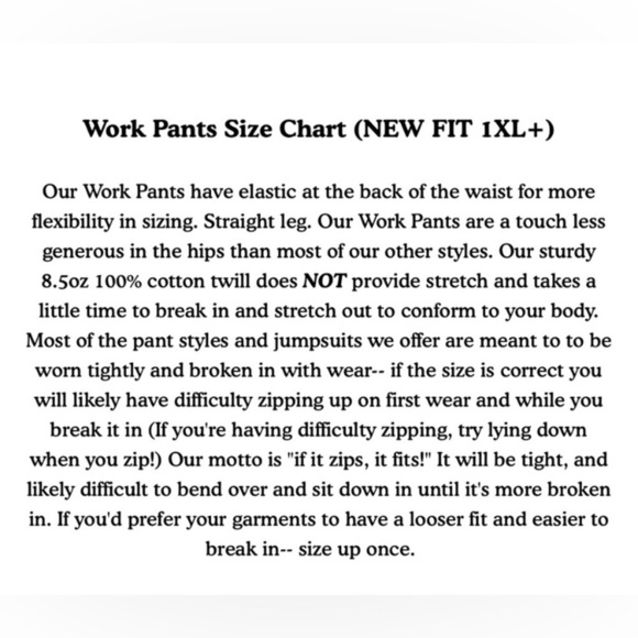 Big Bud Press Daisy Light Blue Work Pants Size XXS - Picture 10 of 10